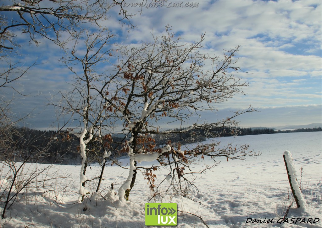 Photos du dégel en province de Luxembourg