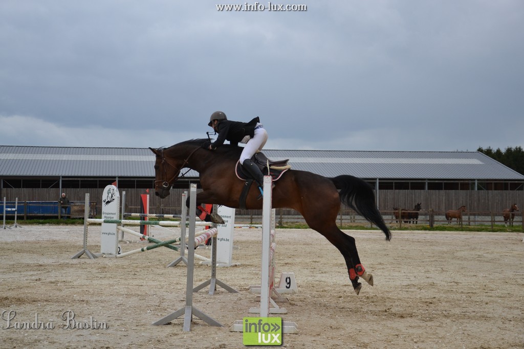 Concours de Jumping en province de Luxembourg - Hatrival