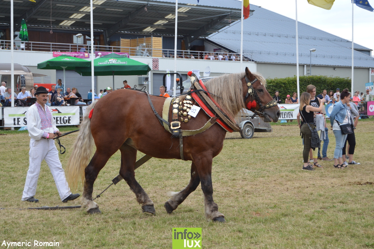 Foire de Libramont 2017