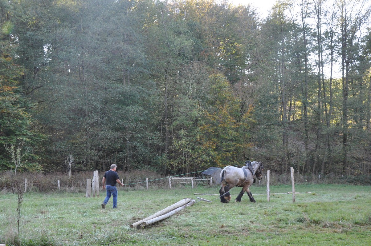 Journée du bois  au Domaine Fourneau Saint-Michel – Saint Hubert