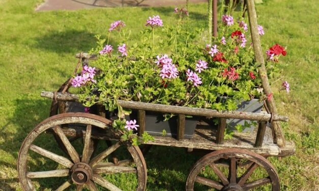 machines agricoles et Jardin