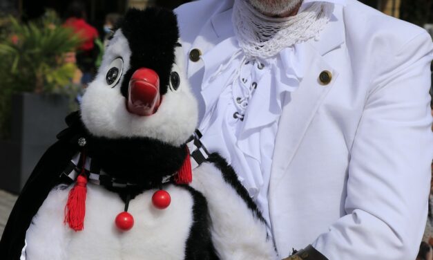 photos Festival Mondial des Théâtres de Marionnettes de Charleville-Mézières 2021