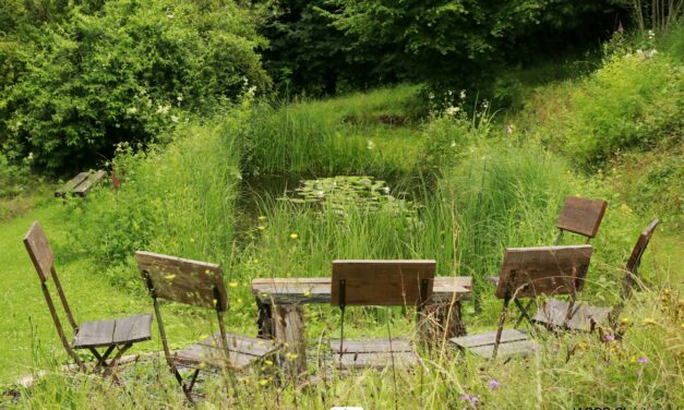 Bouillon : Photos du jardin D’Annick