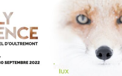 Silly Silence invite Michel d’Oultremont