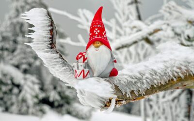 Louvain > Marché de Noël