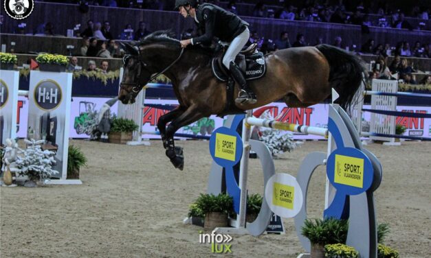 Malines > jumping > Photos