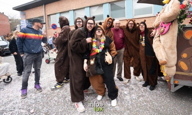 Andenne > Carnaval > les Ours en photos